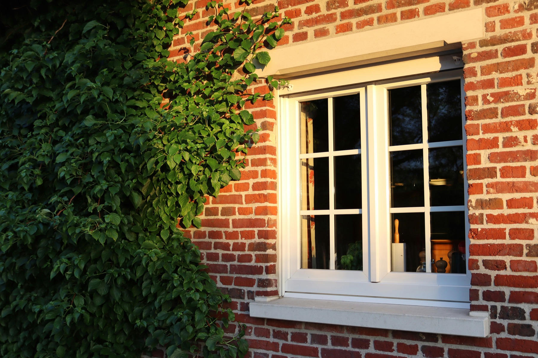 Period window detail